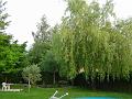 DSC00005