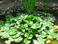 DSC00178