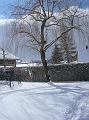 DSC02967