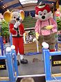 DSC03374