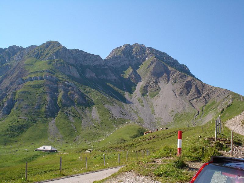 DSCY00549.JPG