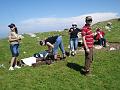 DSCY00560