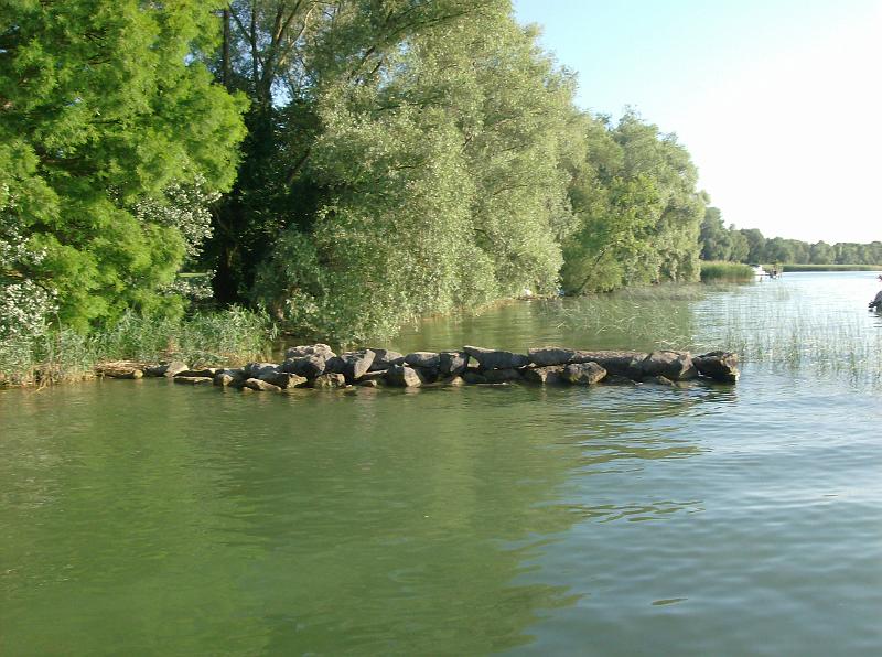 HPIM2156.jpg