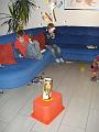 DSC01955