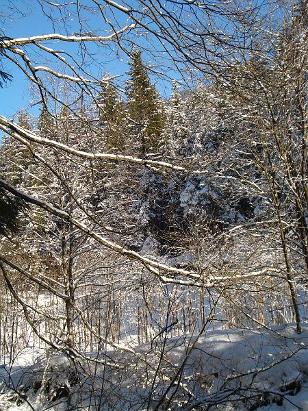 DSC02011.JPG