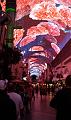 IMAG0160